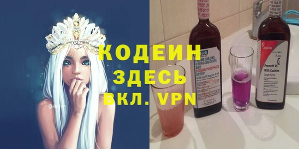 молекула духа Бородино