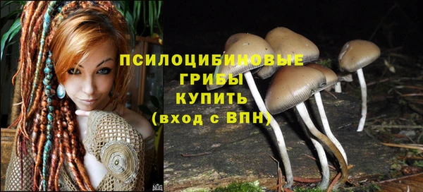 ECSTASY Бронницы