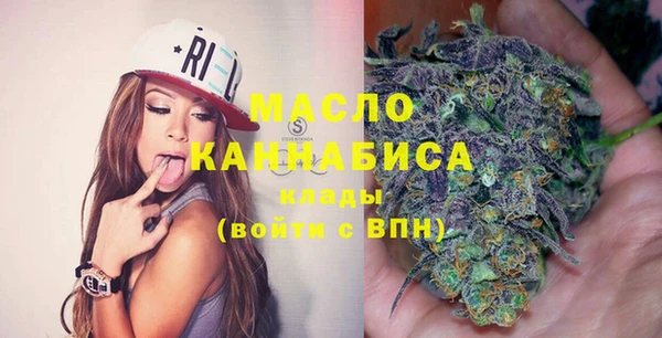 молекула духа Бородино