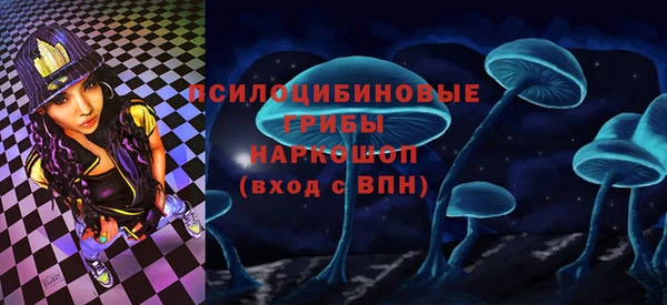 молекула духа Бородино
