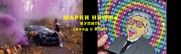 молекула духа Бородино