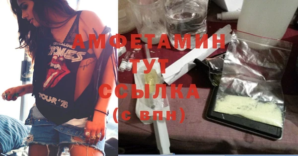 молекула духа Бородино