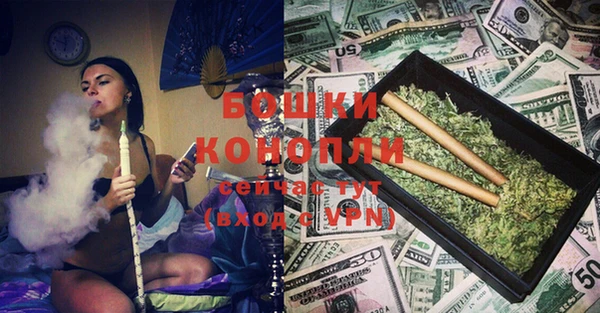 молекула духа Бородино