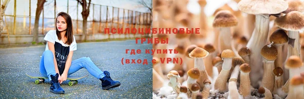 герыч Бугульма