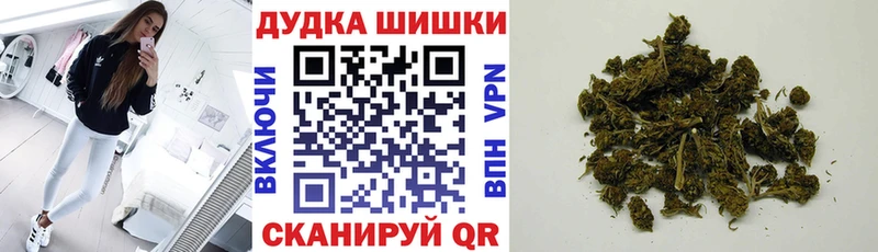 Канабис сатива  Гулькевичи 